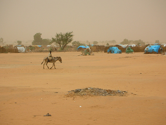 New Enough Paper: Failing Darfur